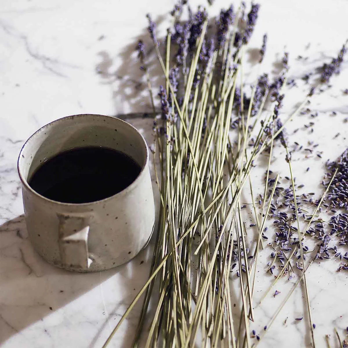 Lavender & Espresso Hand Cream - 75ml - Image 2