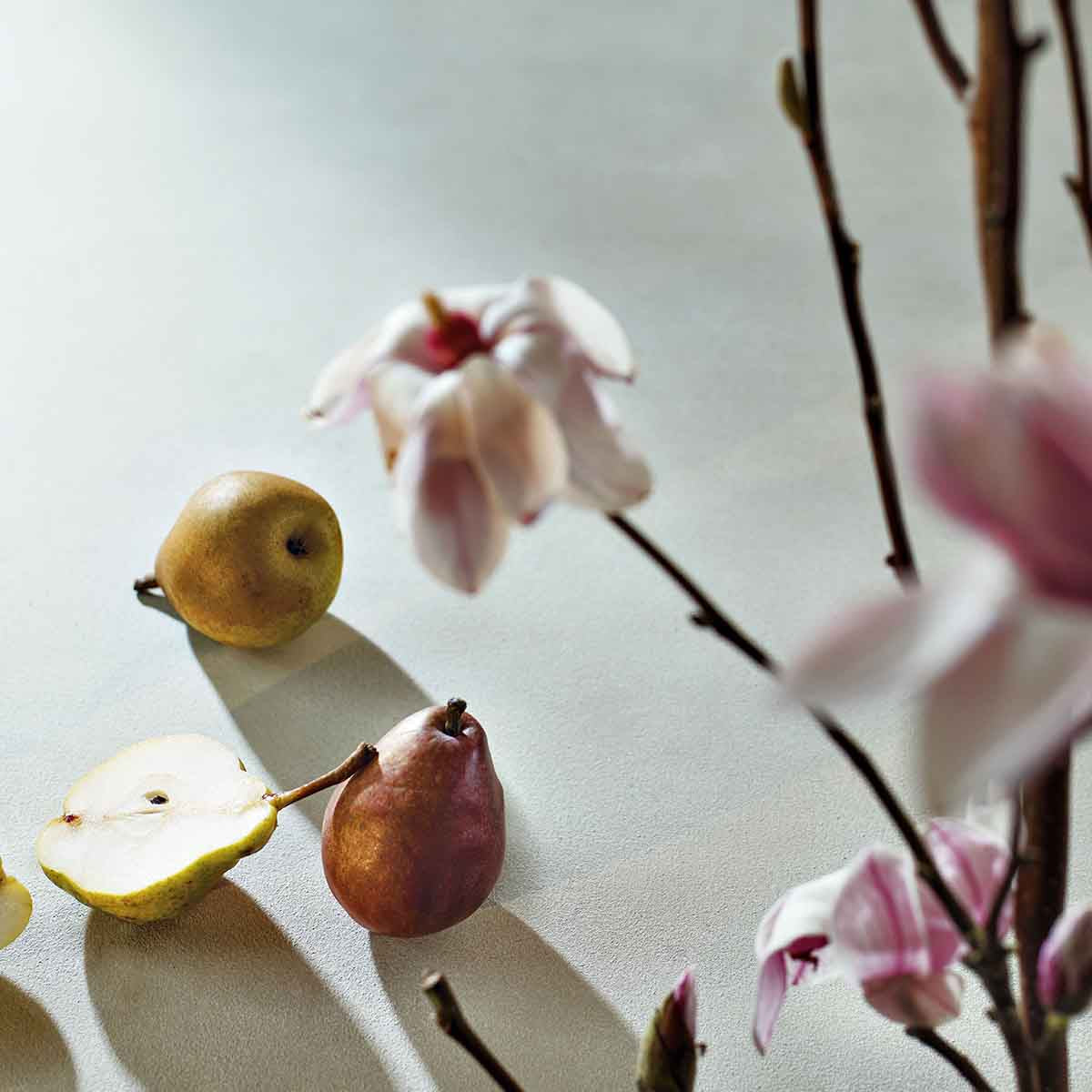 Pear & Pink Magnolia Hand Cream - 75ml - Image 2