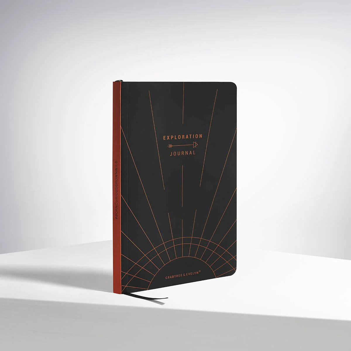 Exploration Journal - Image 9