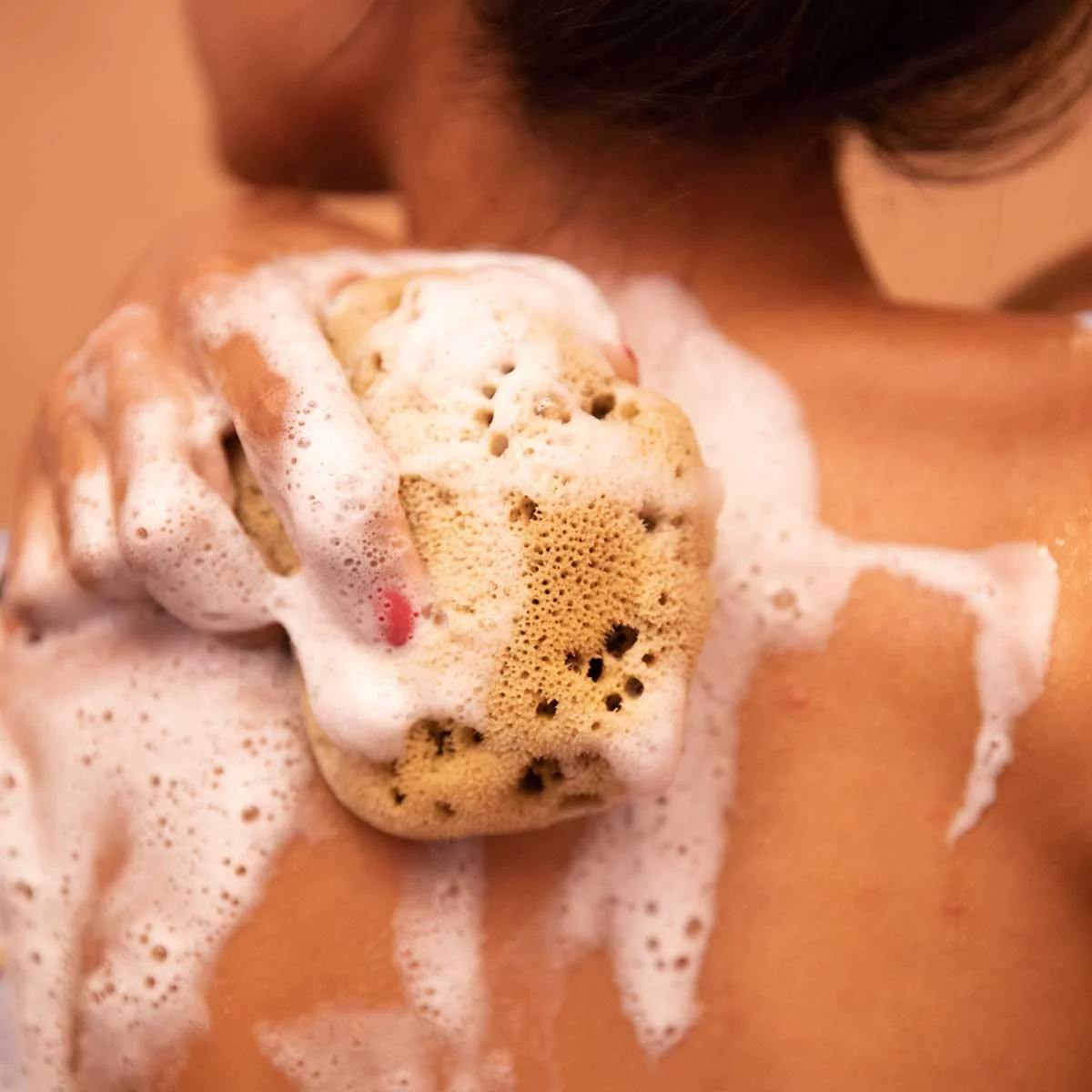 Silk Sea Sponge - Image 3