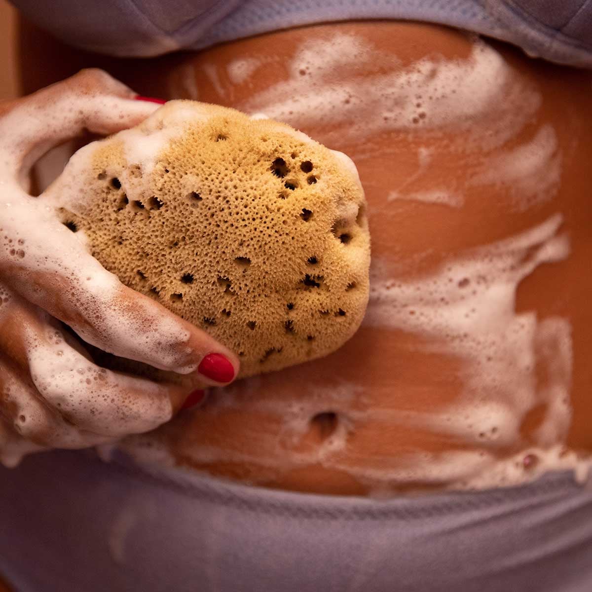 Silk Sea Sponge - Image 4