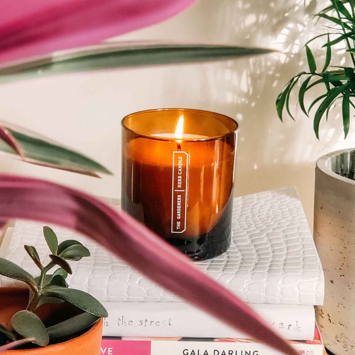 Herb Candle - 200g - Image 3
