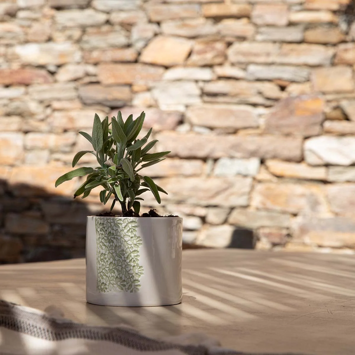 Ceramic Herb Planter - Image 5